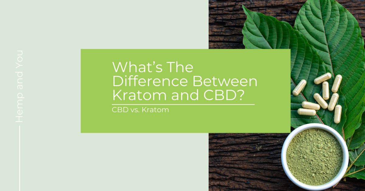 CBD Vs. Kratom: What’s The Difference Between Kratom And CBD? – Anavii ...