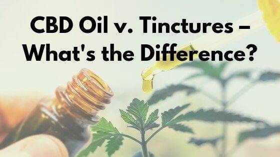 What Is The Difference Between CBD Oil and CBD Tinctures? | Anavii ...